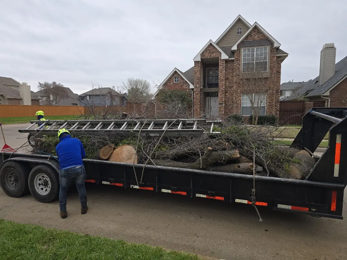 Expert Tree Fertilization with proper safety equipment in Oshtemo